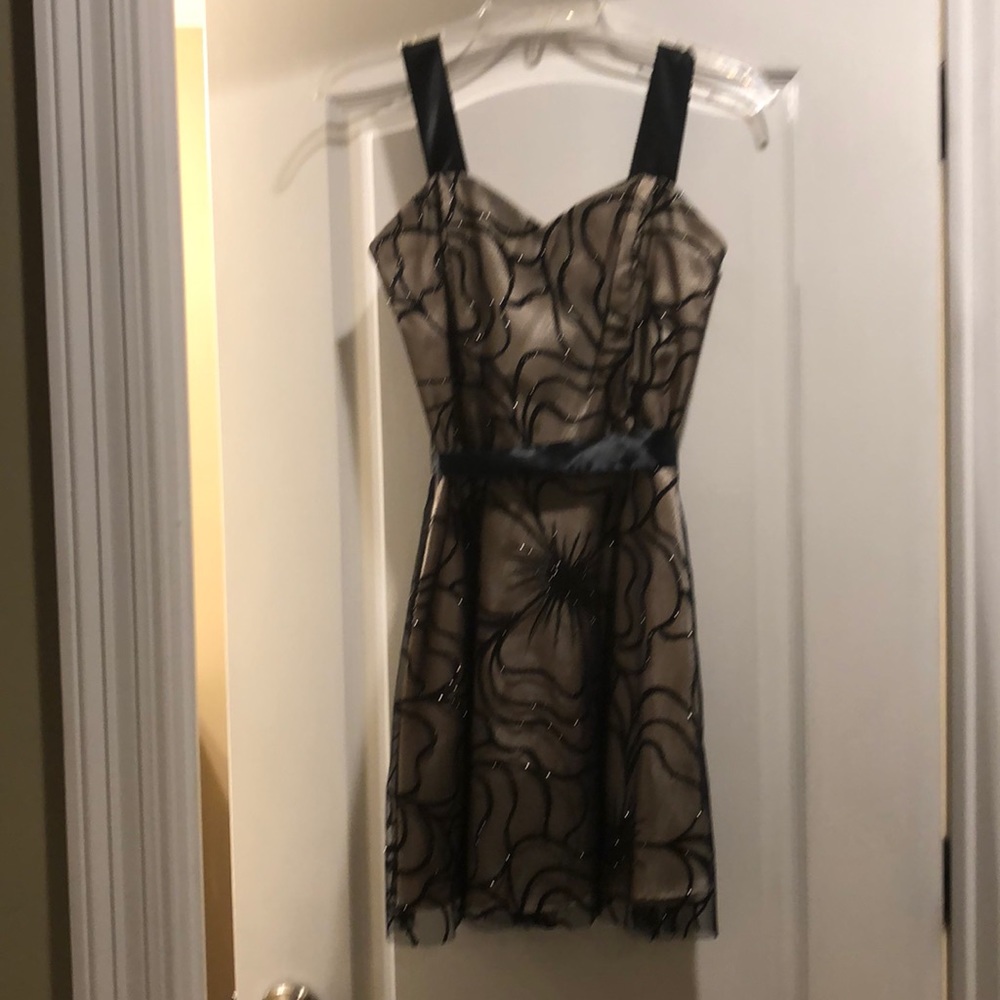 Beautiful black and bronze dress.